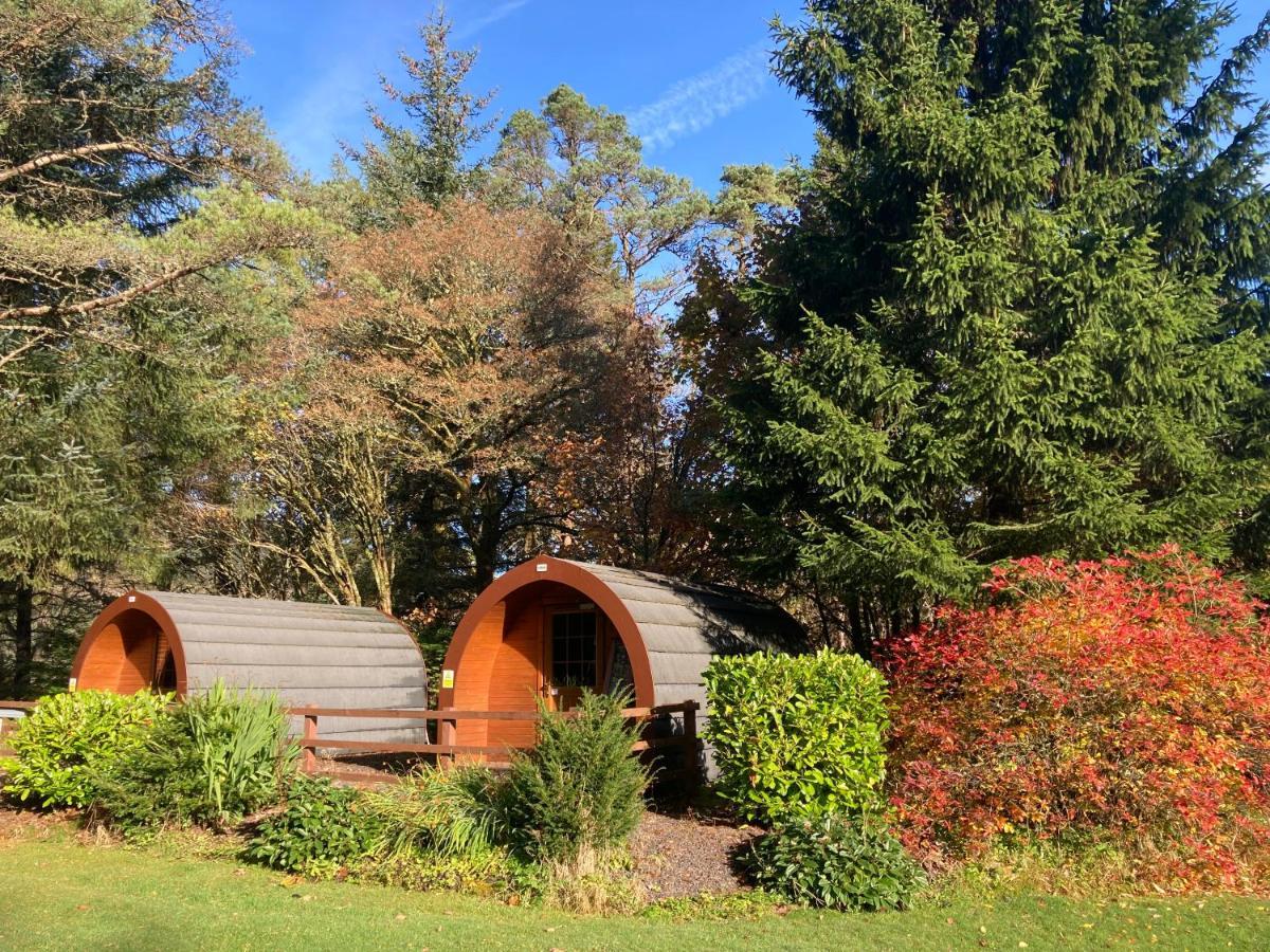 Glamping Hut - By The Way Campsite Tyndrum Εξωτερικό φωτογραφία